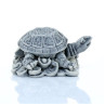 Черепаха на монетах 3