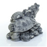 Дракон-черепаха на монетах (большой)